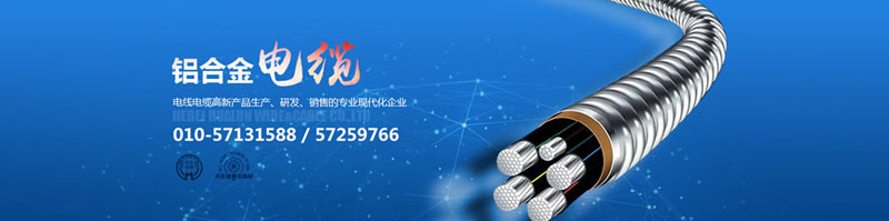 滄州市統(tǒng)計工作規(guī)范化建設(shè)推進(jìn)會在華倫公司順利召開！