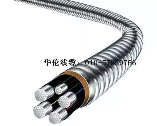 滄州市統(tǒng)計工作規(guī)范化建設(shè)推進會在華倫公司順利召開！